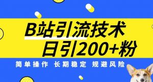 B站引流技术：每天引流200精准粉，简单操作，长期稳定，规避风险-6688资源库