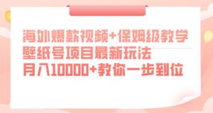 海外爆款视频+保姆级教学，壁纸号项目最新玩法，月入10000+教你一步到位【揭秘】-6688资源库