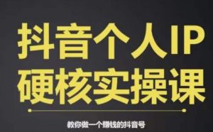个人IP创富系统实战课，商业定位，流量打造，短视频变现，教你做个赚钱的抖音号-6688资源库