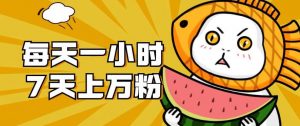 暴力涨粉项目：每天一小时，七天上万粉【揭秘】-6688资源库