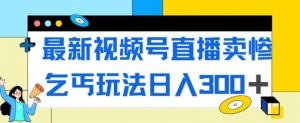 最新视频号直播卖惨乞讨玩法，流量嘎嘎滴，轻松日入300+-6688资源库