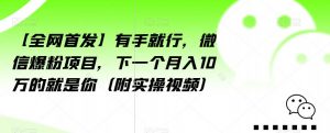 【全网首发】有手就行，微信爆粉项目，下一个月入10万的就是你（附实操视频）【揭秘】-6688资源库