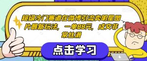 超级冷门赛道在微博引流卖明星图片最新玩法,一单88元,成交非常丝滑【揭秘】-6688资源库