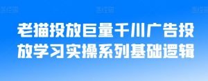 老猫投放巨量千川广告投放学习实操系列基础逻辑-6688资源库