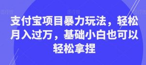 支付宝项目暴力玩法,轻松月入过万,基础小白也可以轻松拿捏【揭秘】-6688资源库