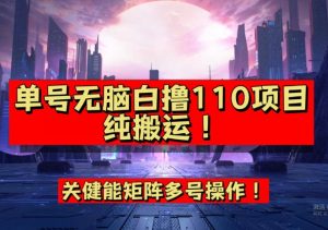 9月全网首发，单号直接白撸110！可多号操作，无脑搬运复制粘贴【揭秘】-6688资源库