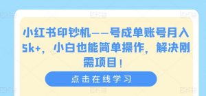 小红书印钞机——号成单账号月入5k+，小白也能简单操作，解决刚需项目【揭秘】-6688资源库
