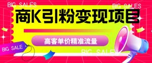 商K引粉变现项目，高客单价精准流量【揭秘】-6688资源库