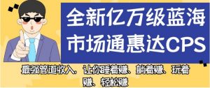 全新亿万级蓝海市场通惠达cps,最强管道收入,让你睡着赚、躺着赚、玩着赚、轻松赚【揭秘】-6688资源库