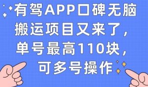 有驾APP口碑无脑搬运项目又来了，单号最高110块，可多号操作-6688资源库
