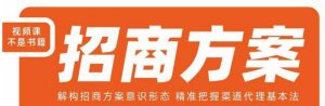 王昕招商方案，解构招商方案意识形态，精准把握渠道代理基本法-6688资源库