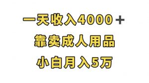 一天收入4000+,靠卖成人用品,小白轻松月入5万【揭秘】-6688资源库