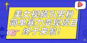 价值3980的男粉暴力引流变现项目，一部手机简单操作，新手小白轻松上手，每日收益500+【揭秘】-6688资源库