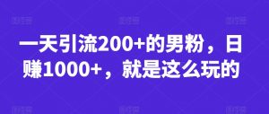 一天引流200+的男粉，日赚1000+，就是这么玩的【揭秘】-6688资源库