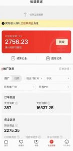 拼多多无人直播不封号玩法，0投入，3天必起，日入1000+-6688资源库