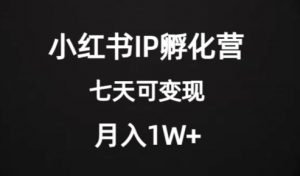 价值2000+的小红书IP孵化营项目，超级大蓝海，七天即可开始变现，稳定月入1W+-6688资源库