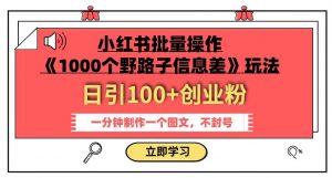 小红书批量操作《1000个野路子信息差》玩法，一分钟制作一个图文，不封号，日引100+创业粉-6688资源库