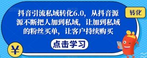 抖音引流私域转化6.0，从抖音源源不断把人加到私域，让加到私域的粉丝买单，让客户持续购买-6688资源库