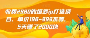 收费2980的塔罗ip打造项目，单价198-999不等，5天赚了2000块【揭秘】-6688资源库