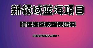 虚拟资源蓝海领域新项目，轻松日入800＋，附保姆级教程及资料-6688资源库