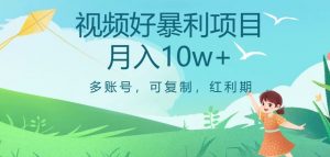视频号暴利项目，多账号，可复制，红利期，月入10w+【揭秘】-6688资源库