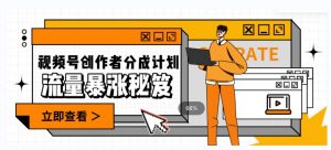 一条视频收益3000+，一条作品涨粉2000+，视频号流量爆炸·的秘籍-6688资源库