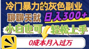 冷门暴利的副业项目，聊聊天就能日入300+，0成本月入过万【揭秘】-6688资源库