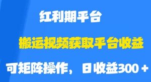 搬运视频获取平台收益，平台红利期，附保姆级教程【揭秘】-6688资源库