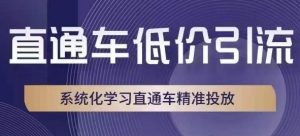 直通车低价引流课,系统化学习直通车精准投放-6688资源库