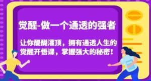 觉醒-做一个通透的强者，让你醍醐灌顶，拥有通透人生的觉醒开悟课，掌握强大的秘密！-6688资源库
