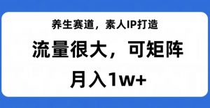 养生赛道,素人IP打造,流量很大,可矩阵,月入1w+【揭秘】-6688资源库