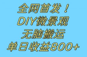 全网首发冷门赛道!DIY微景观,无脑搬运视频,日收益800+【揭秘】-6688资源库