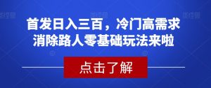 首发日入三百，冷门高需求消除路人零基础玩法来啦【揭秘】-6688资源库