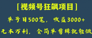 日收款500笔，纯利润3000+，视频号狂飙项目，会简单剪辑就能做【揭秘】-6688资源库
