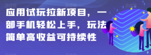 应用试玩拉新项目，一部手机轻松上手，玩法简单高收益可持续性【揭秘】-6688资源库