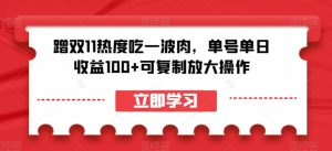 蹭双11热度吃一波肉，单号单日收益100+可复制放大操作【揭秘】-6688资源库