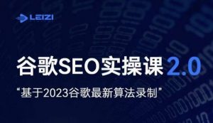 雷子·谷歌SEO 2.0实战课，独立站询盘自由必备，基于2023谷歌最新算法录制-6688资源库