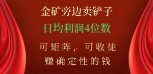 金矿旁边卖铲子，赚确定性的钱，可矩阵，可收徒，日均利润4位数【揭秘】-6688资源库