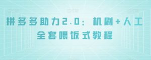 拼多多助力2.0：机刷+人工全套喂饭式教程【揭秘】-6688资源库