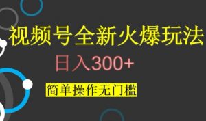 视频号最新爆火玩法，日入300+，简单操作无门槛【揭秘】-6688资源库