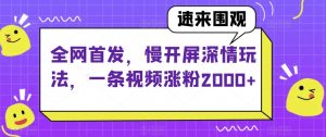 全网首发，慢开屏深情玩法，一条视频涨粉2000+【揭秘】-6688资源库