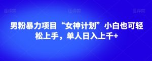 男粉暴力项目“女神计划”小白也可轻松上手，单人日入上千+【揭秘】-6688资源库