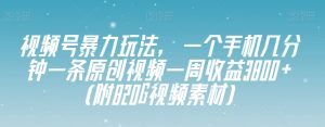 视频号暴力玩法，一个手机几分钟一条原创视频一周收益3800+（附820G视频素材）-6688资源库