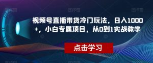视频号直播带货冷门玩法，日入1000+，小白专属项目，从0到1实战教学【揭秘】-6688资源库