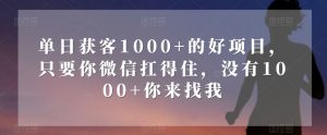 单日获客1000+的好项目，只要你微信扛得住，没有1000+你来找我【揭秘】-6688资源库