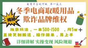 利用电商平台冬季销售取暖用品欺诈行为合理制裁店铺，单日入900+【仅揭秘】-6688资源库