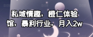 私域情趣,橙仁体验馆,暴利行业,月入2w【揭秘】-6688资源库