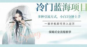 冷门蓝海项目，操作简单，小白3分钟上手，多种引流方式，保姆式全流程教学【揭秘】-6688资源库