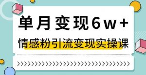单月变现6W+，抖音情感粉引流变现实操课，小白可做，轻松上手，独家赛道【揭秘】-6688资源库