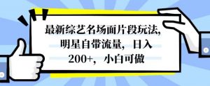 最新综艺名场面片段玩法，明星自带流量，日入200+，小白可做【揭秘】-6688资源库